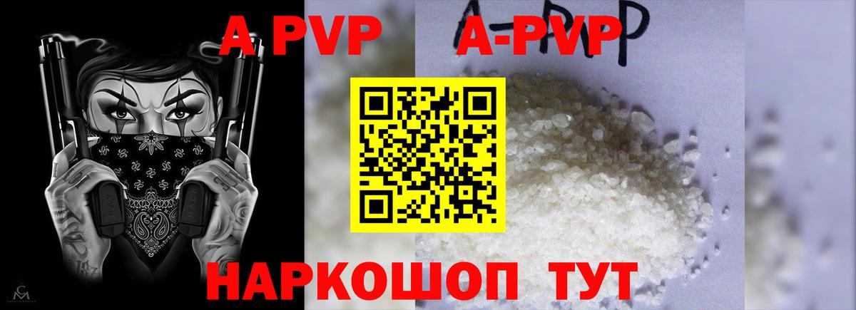 A PVP СК КРИС Элиста
