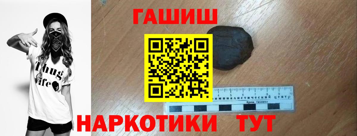 ГАШ Premium Элиста