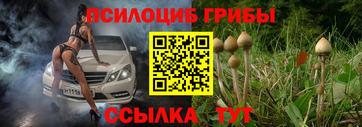 Псилоцибиновые грибы мухоморы Элиста