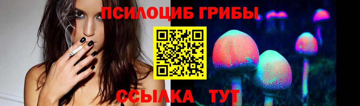 Элиста  Псилоцибиновые грибы MAGIC MUSHROOMS  Вход с VPN 