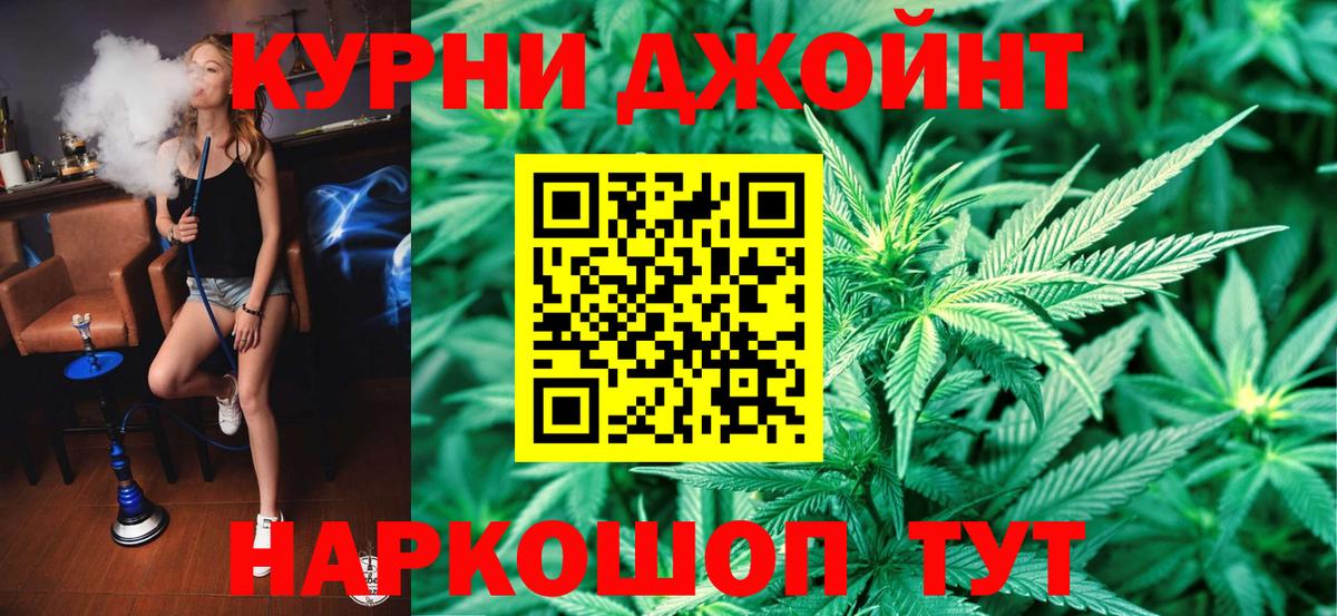 Каннабис планчик Элиста